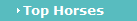 Top Horses